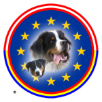 Appenzeller Sennenhunde / Berner Sennenhunde