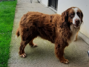 Ronja 11.6.2024 a